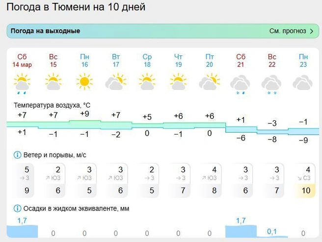 Прогнозная информация от другого метеорологического ресурса | Источник: «Гисметео»