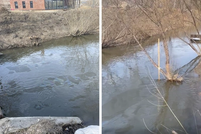 В парке Каменка в Новосибирске обнаружили пятна от нефтепродуктов