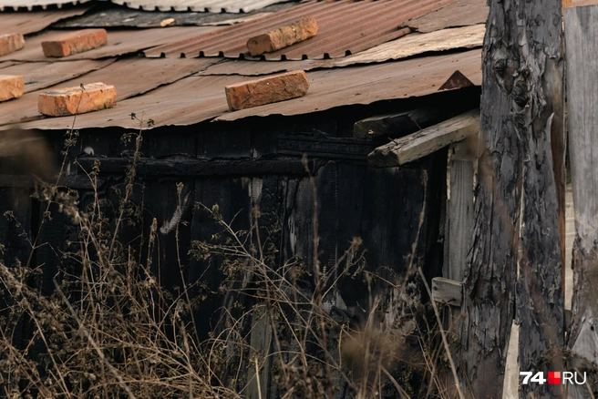 А здесь, в старом квартале, крышу сараев придерживают кирпичи | Источник: Наталья Лапцевич