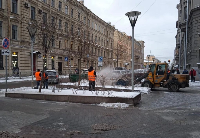 Источник: Комитет по благоустройству Санкт-Петербурга