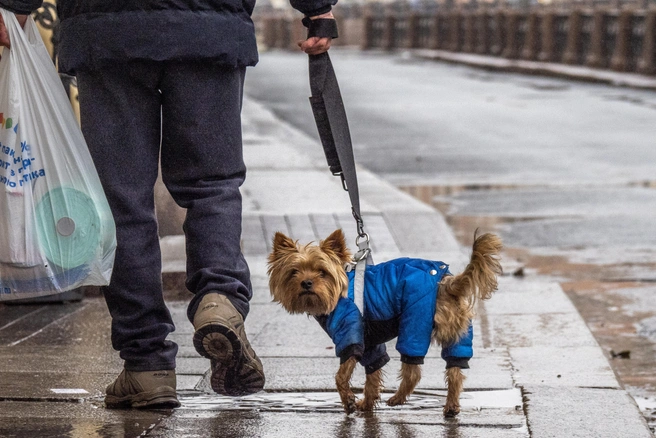 При повторных нарушениях размер санкций возрастает | 142.ru