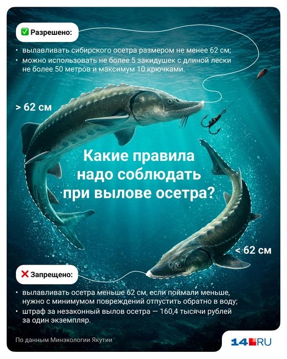 Ловить осетра можно в 26 местах | Источник: Полина Авдошина / 14.RU