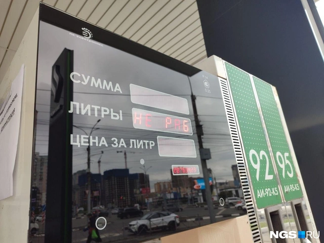 Источник: Мария Тищенко / NGS.RU