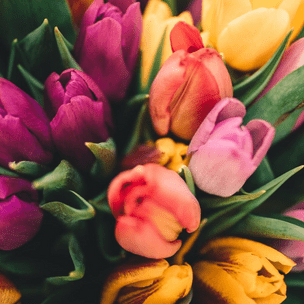 [тест] Выбери тюльпаны, а мы скажем, кто о тебе сегодня думает 🌷