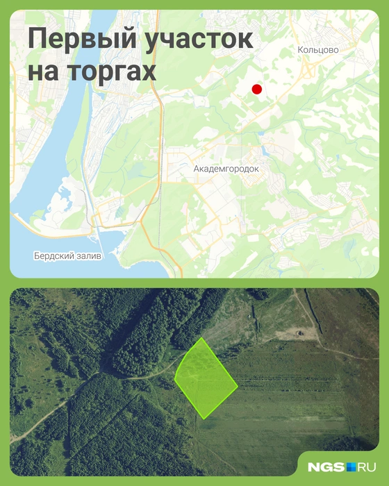 Первый участок хотят продать в ноябре | Источник: Юрий Орлов / Городские медиа