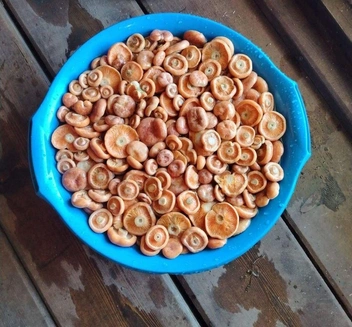 Этих крошек насобирали тоже в Барахоево, только в северной стороне от села | Источник: читатель «Чита.Ру»