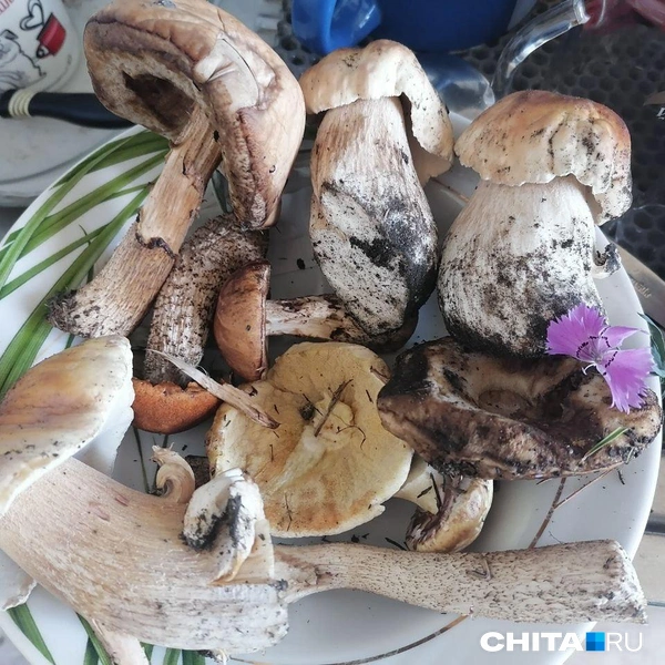 Источник: очевидец