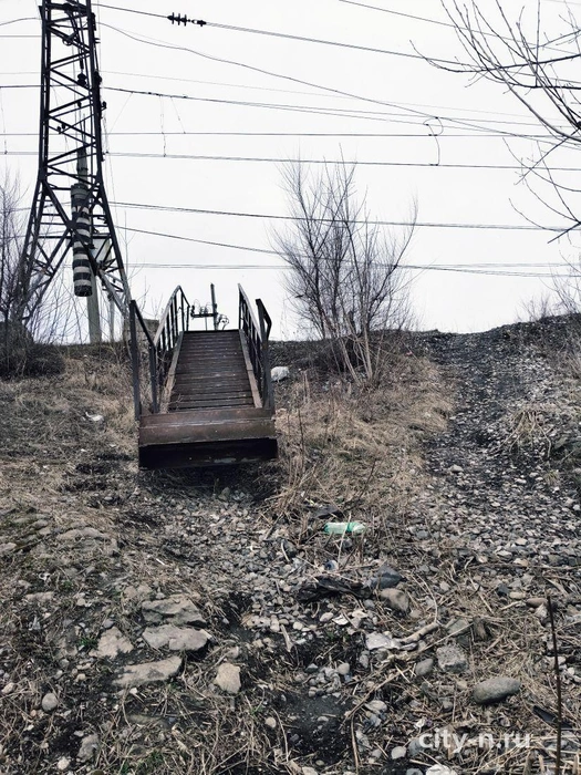 Источник: city-n.ru