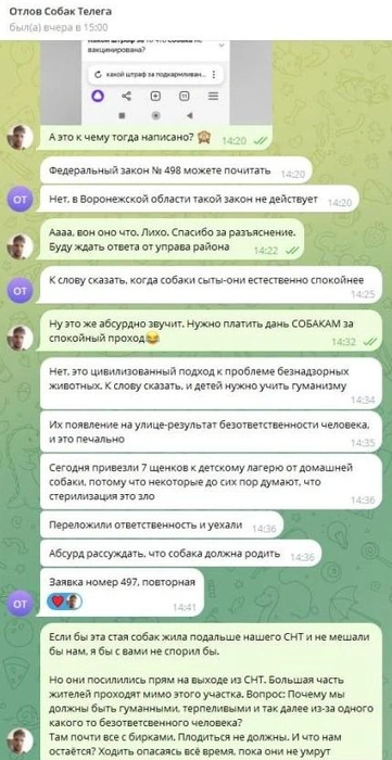 В чате мэрии Шабунину объяснили, что «закон о запрете кормить бездомных собак» в Воронежской области не действует. И вместо реальной помощи читали заезженные лекции о гуманизме | Источник: Андрей Шабунин
