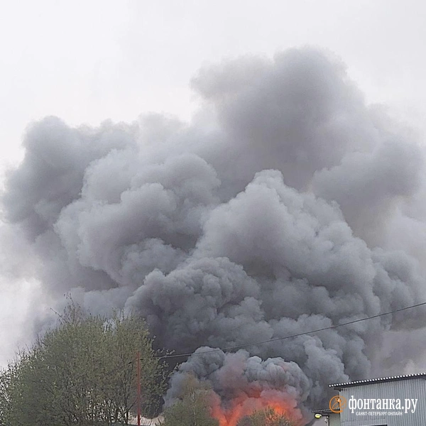 Источник: читатель «Фонтанки»