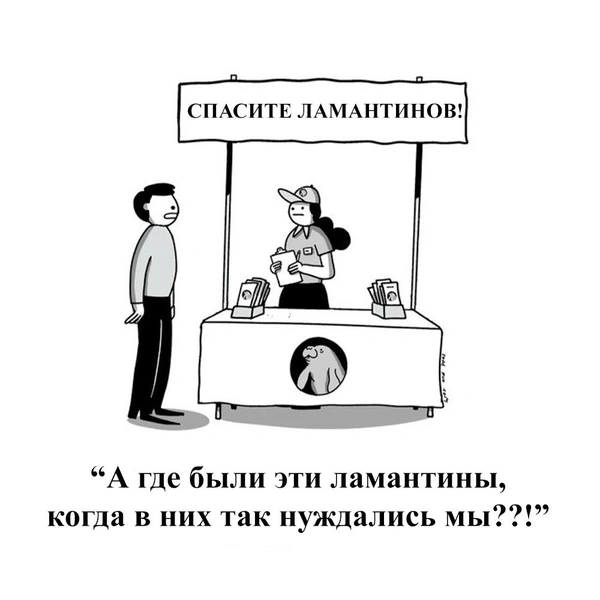 Источник: War and Peas, соцсети