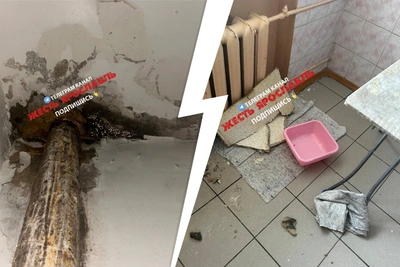 Студенты ярославского колледжа жалуются на потопы и плесень