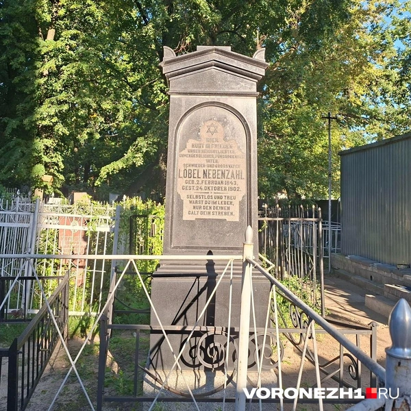 Источник: Алёна Воропаева / Voronezh1.ru