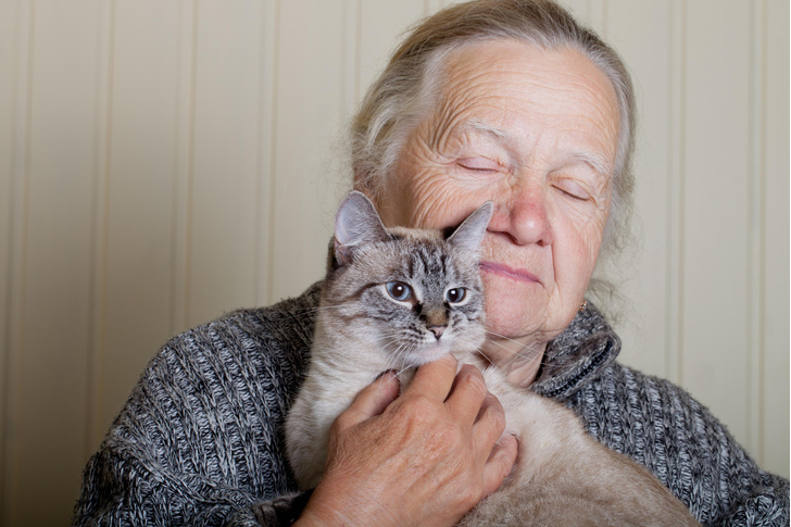 Кошки и собаки помогают сохранить ясный ум и твердую память в старости, утверждают ученые