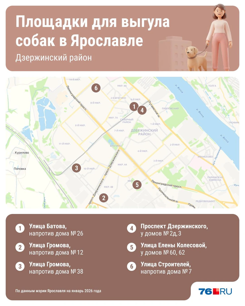 Больше всего мест для выгула собак в Дзержинском районе  | Источник: Юрий Скулыбердин / Городские медиа