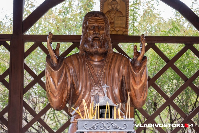 Источник: Елена Буйвол / VLADIVOSTOK1.RU