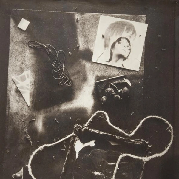 Сергей Фалин. Метаморфозы. Из цикла «Соединение». 1990-е. Из коллекции РОСФОТО | Источник: Росфото