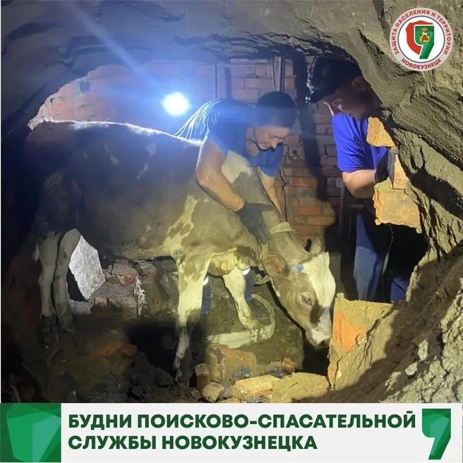 Источник: www.city-n.ru