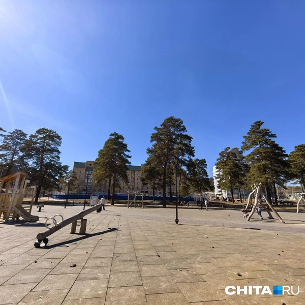 Источник: Дарья Кливенкова / CHITA.RU