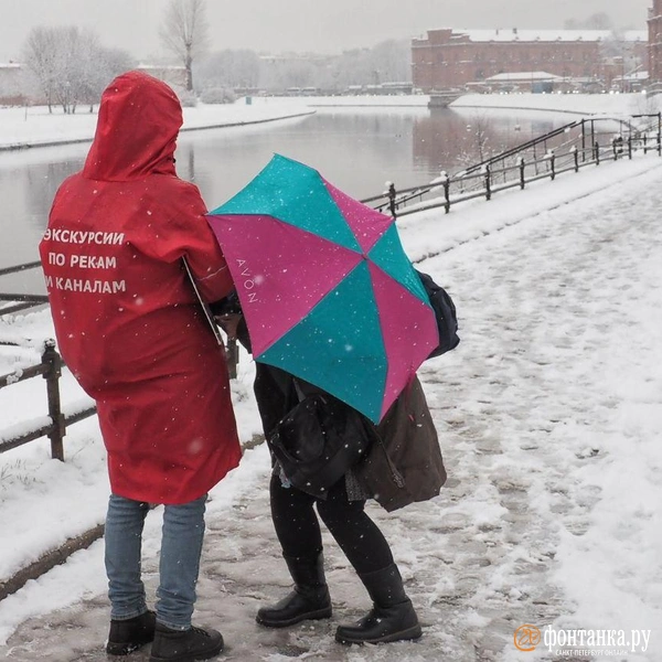 Источник: Михаил Огнев / FONTANKA.RU 