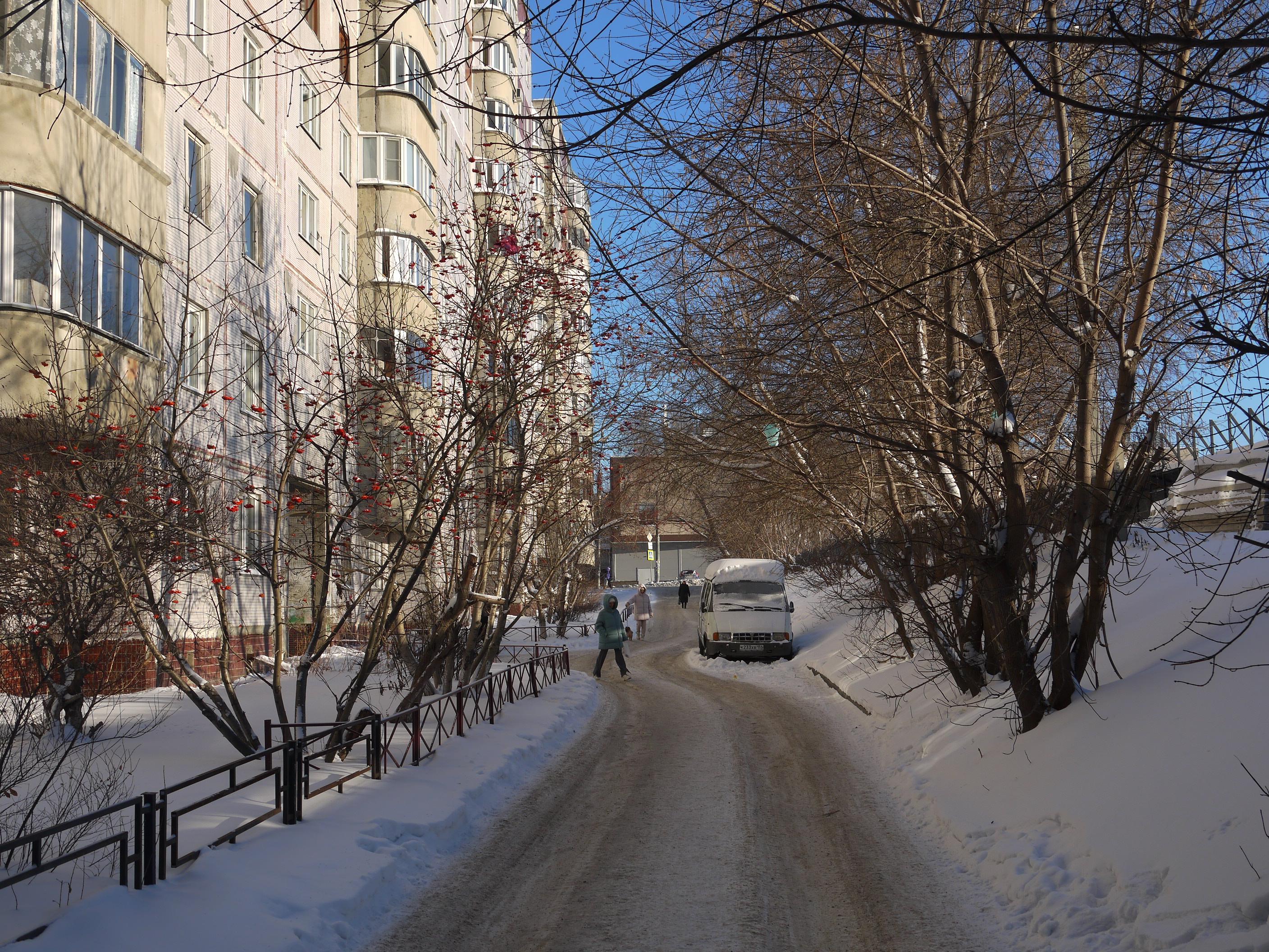 Бездомный Пушкин: с улицы в Центральном районе пропали все дома — целый  квартал снесли ради будущей новостройки - 20 декабря 2023 - НГС.ру