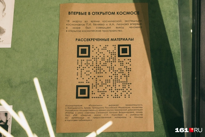 Источник: Евгений Вдовин / 161.RU