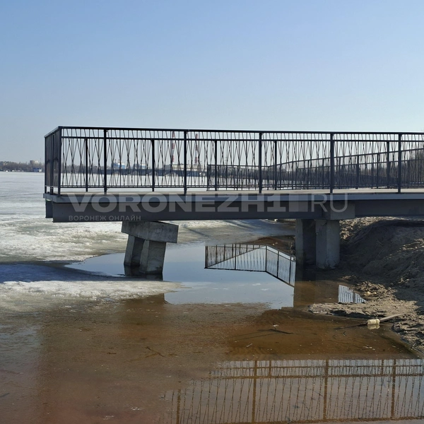 Источник: Алёна Воропаева/ Voronezh1.ru