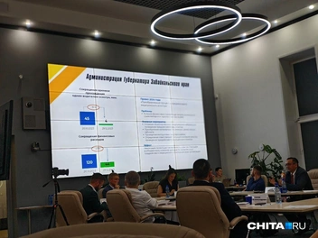 Источник: Тамара Ван-Фу-Ли / CHITA.Ru