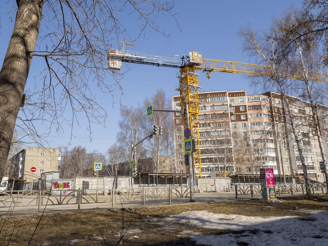 Участок долгое время оставался заброшенным | Источник: Кирилл Кушнов / E1.RU