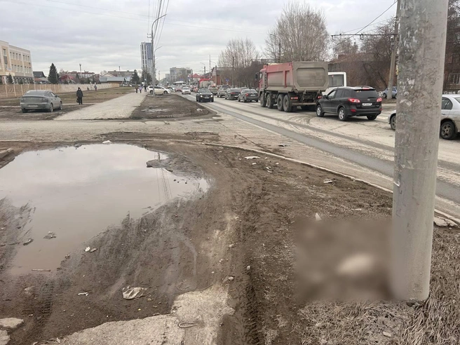 Труп кошки лежит рядом с тротуаром возле столба уже полгода | Источник: читатель НГС