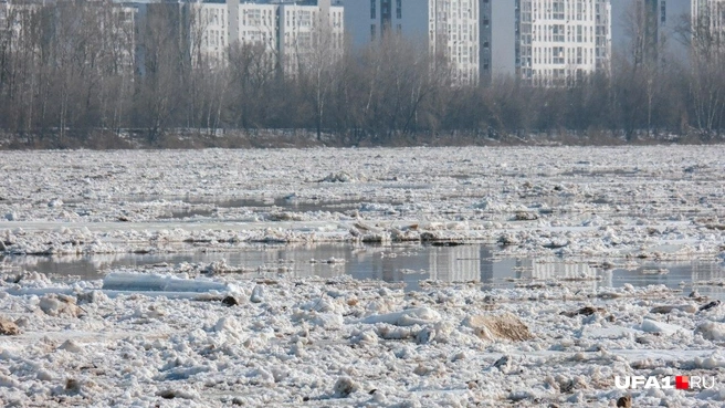 Источник: Булат Салихов / UFA1.RU