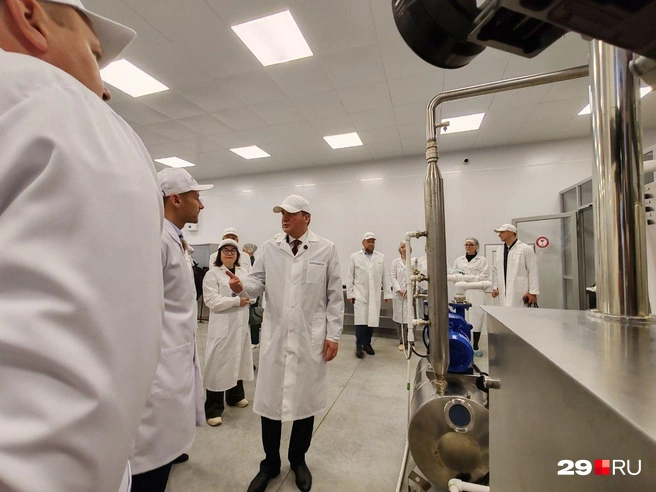 Источник: Елена Ионайтис / 29.RU