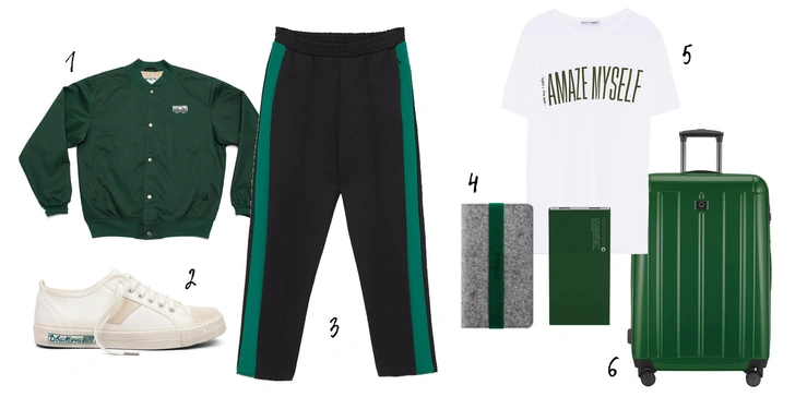 1, 2 - locals.faceslaces.com, 3,5 - Zara, 4 - Rombica, 6. Lamoda.ru