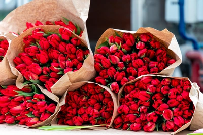 Красноярск готовит тюльпаны к 8 марта: фото и цены