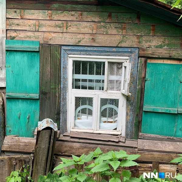 Источник: Кристина Калинина / NN.RU