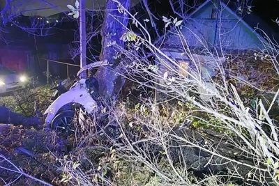 В Артеме водитель погиб после удара о дерево