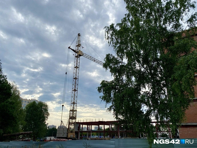 Источник: Елизавета Богатырева / NGS42.RU