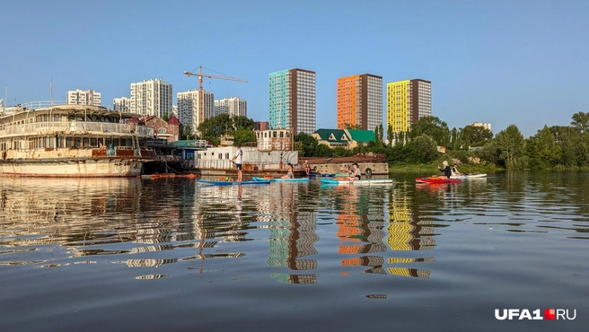 Можно подплыть совсем близко | Источник: Булат Салихов / UFA1.RU
