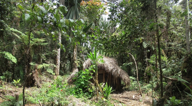 Местные жители до сих пор охотятся с луком и стрелами | Источник: Александр Фомичев