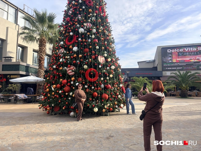 Елка и пальма — такое в России только в Сочи можно увидеть | Источник: Анна Грицевич / SOCHI1.RU