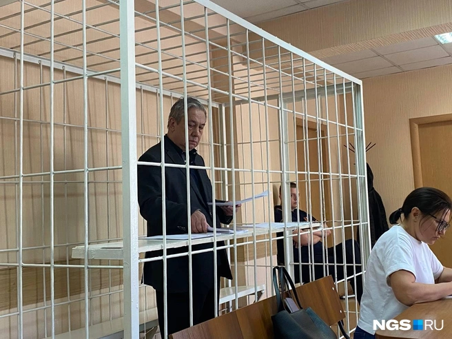Сергей Степанов активно защищался на суде | Источник: Эмиль Фукс / NGS.RU