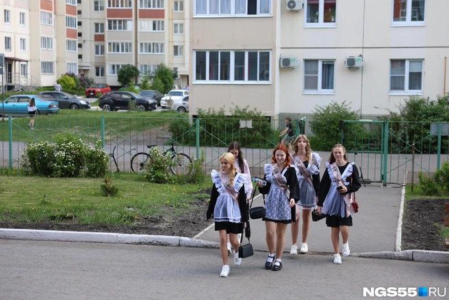 Премию выплачивают с 2023 года | Источник: Евгений Софийчук / NGS55.RU