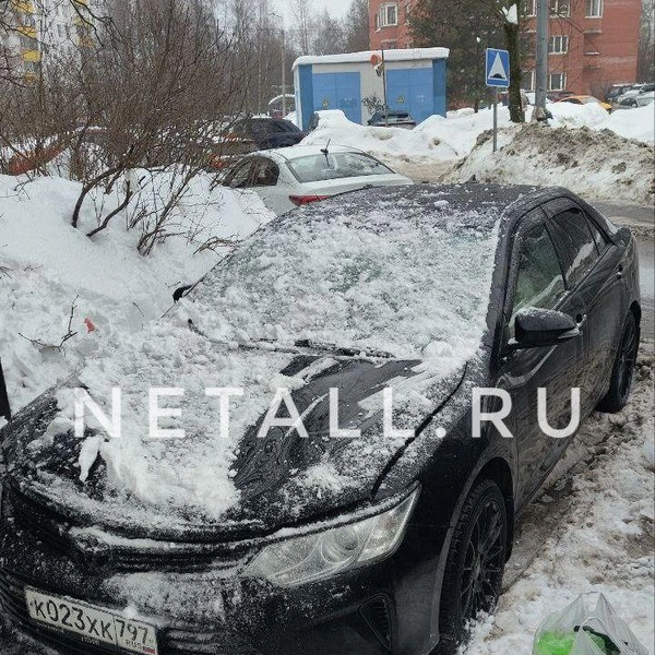 Источник: Инфопортал Зеленограда / T.me