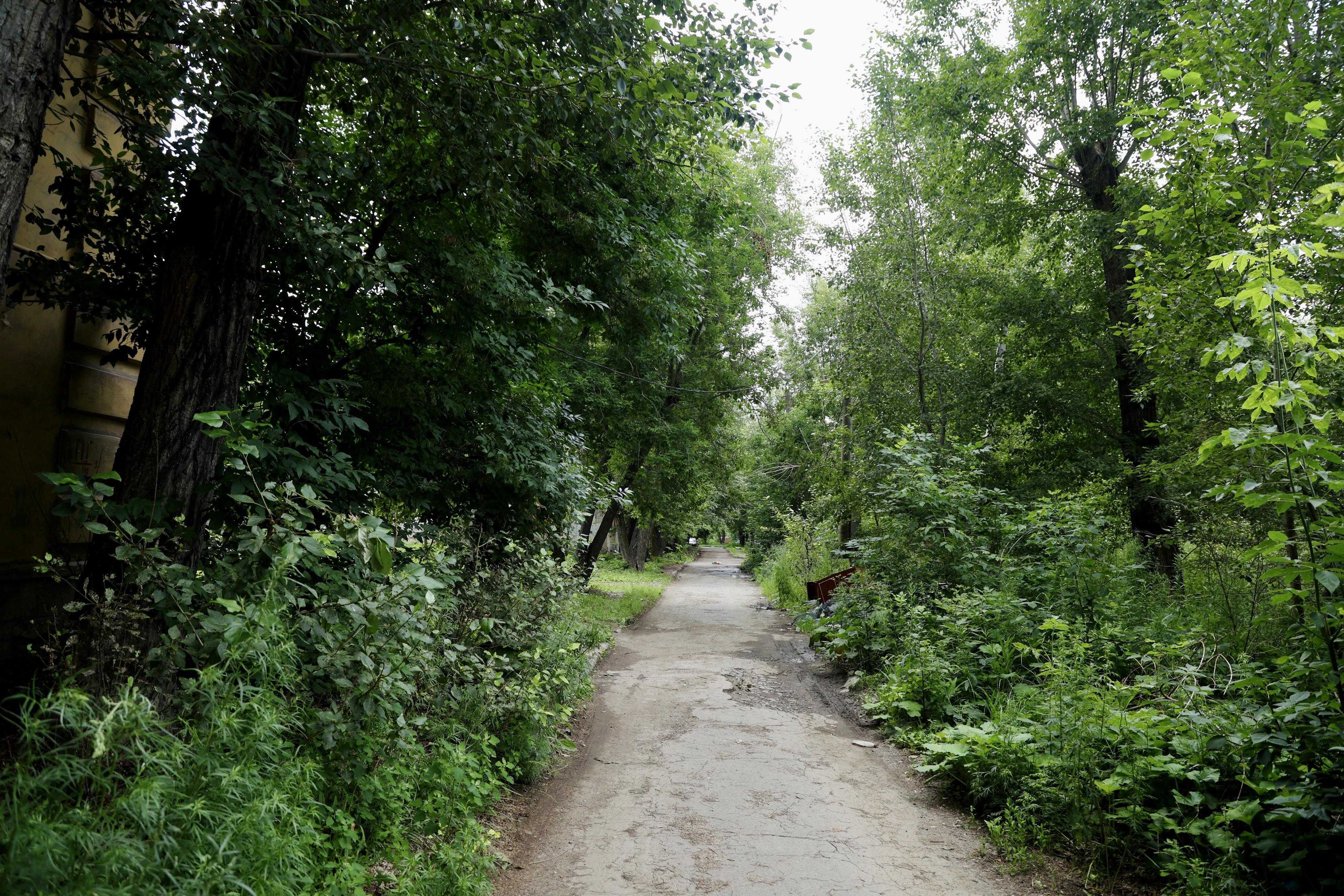 Будет солнечно и жарко? Смотрим прогноз погоды в Кургане на выходные