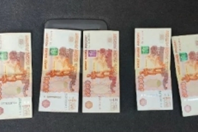 В Саранске осудили соцработницу за мошенничество