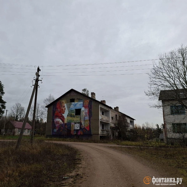 Источник: Ирина Багликова / «Фонтанка.ру»