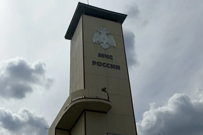 С начала сезона в Рязанской области случилось четыре лесных пожара