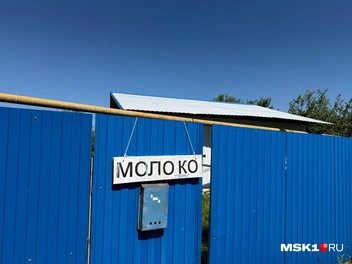 Некоторые жители Сошек говорят, что в конце февраля 2022-го видели много машин полиции и скорых | Источник: Вера Борисова / MSK1.RU