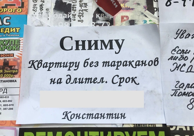 Рынок сдачи квартир в Тюмени пока остается стихийным. Доходных домов, которые были распространены в Российской империи, практически нет, хотя застройщики давно присматриваются к этому рынку. Возможно, когда-нибудь процесс съема жилья будет простым и эффективным, а стоимость посреднических услуг упадет | Источник: Екатерина Петрова / 72.RU