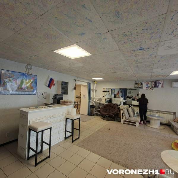 Источник: Алёна Воропаева / Voronezh1.ru
